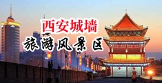 大黑逼网中国陕西-西安城墙旅游风景区