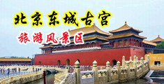 啊啊啊用力插视频中国北京-东城古宫旅游风景区
